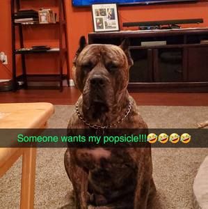 Meet your Posher, Scott